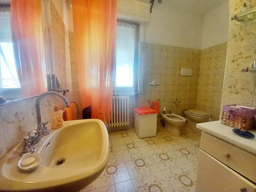 Immagine 27 di Appartamento in vendita  a Cecina