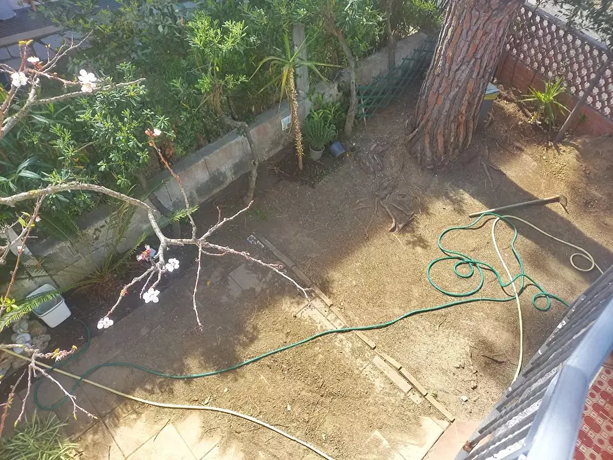 Immagine 32 di Appartamento in vendita  a Cecina