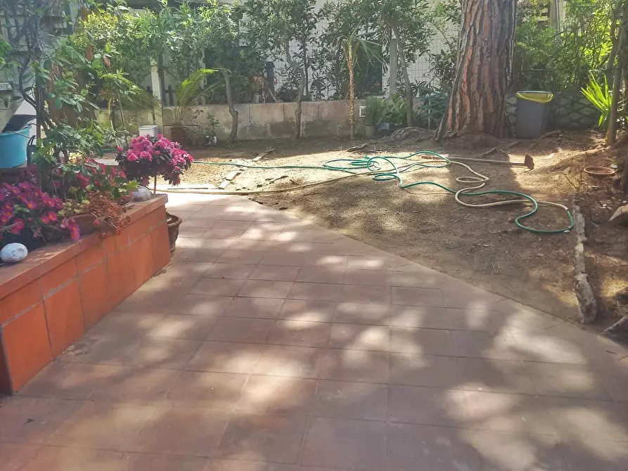 Immagine 34 di Appartamento in vendita  a Cecina