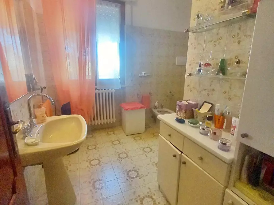 Immagine 26 di Appartamento in vendita  a Cecina