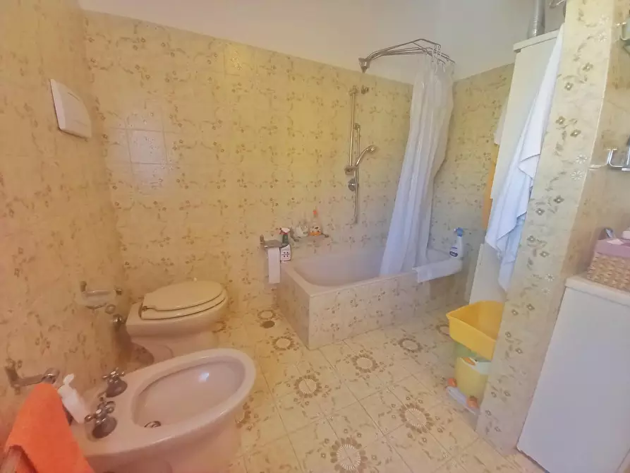 Immagine 28 di Appartamento in vendita  a Cecina