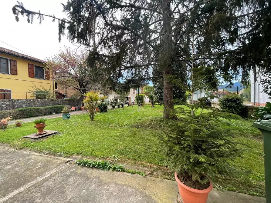 Immagine 35 di Villa in vendita  a Capannori