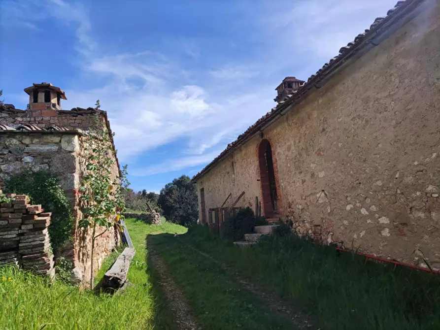 Immagine 12 di Casa colonica in vendita  a Casole D'elsa
