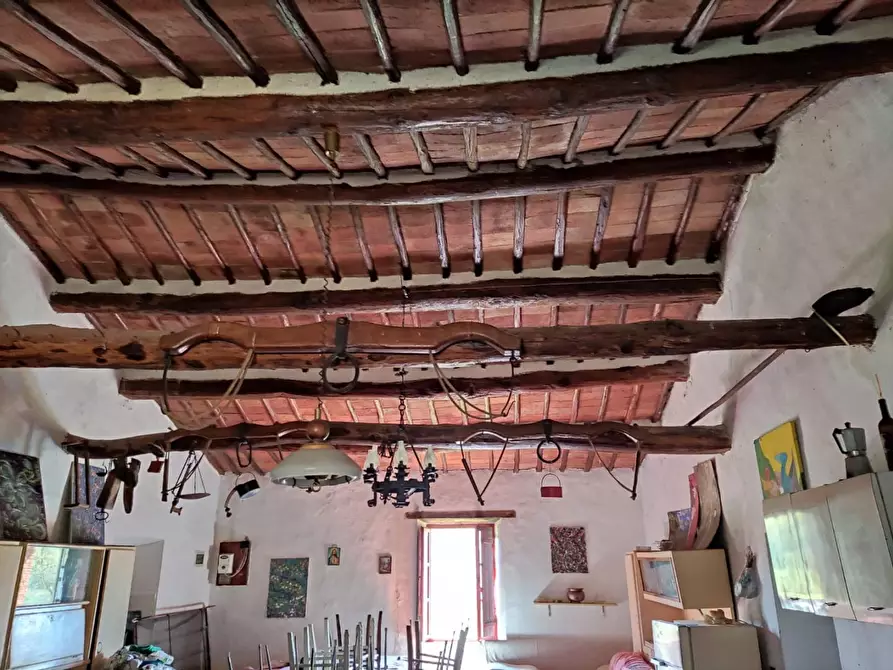 Immagine 4 di Casa colonica in vendita  a Casole D'elsa