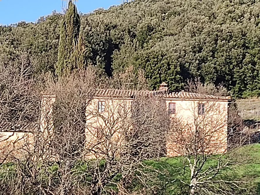 Immagine 9 di Casa colonica in vendita  a Casole D'elsa