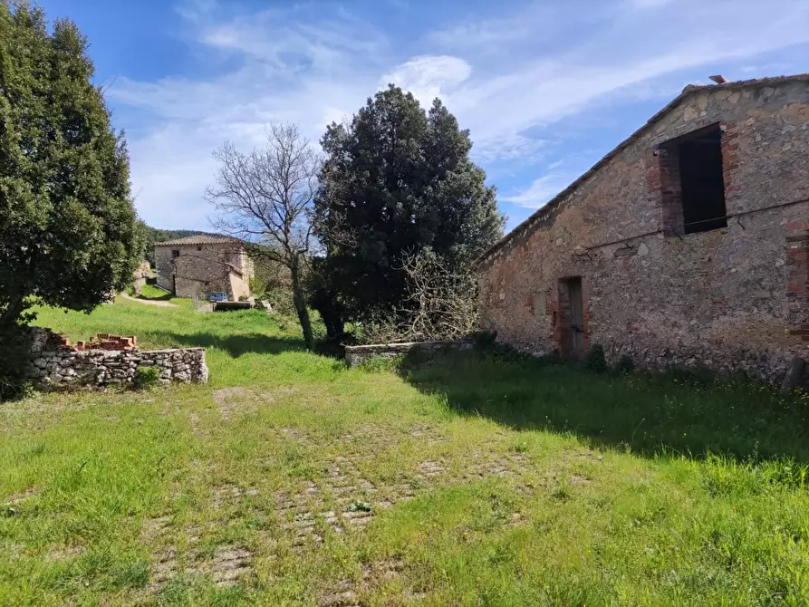 Immagine 14 di Casa colonica in vendita  a Casole D'elsa