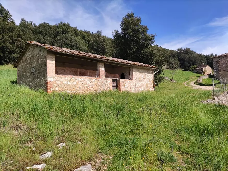 Immagine 13 di Casa colonica in vendita  a Casole D'elsa