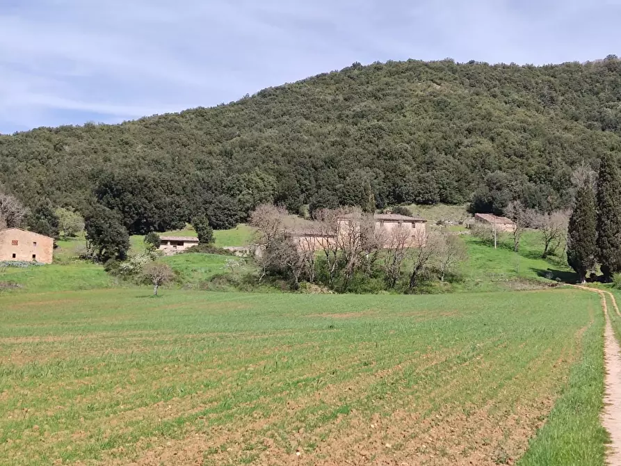 Immagine 15 di Casa colonica in vendita  a Casole D'elsa