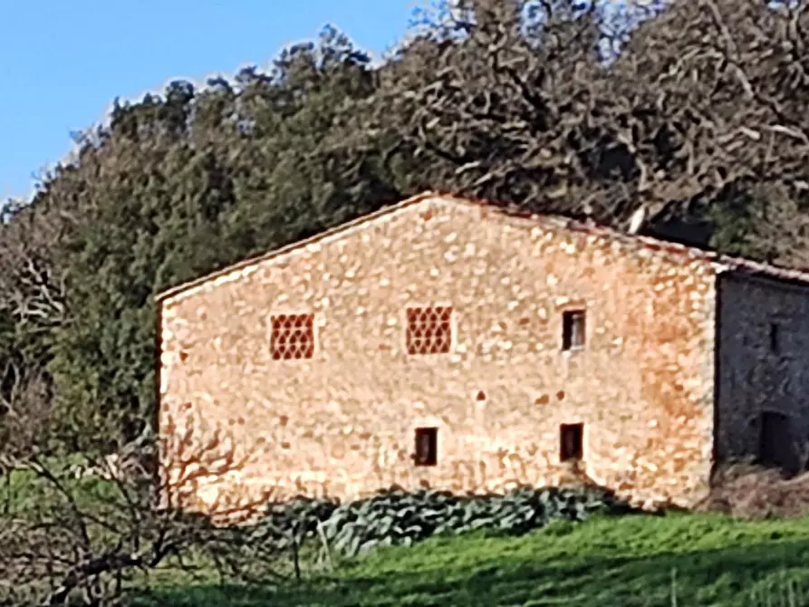 Immagine 8 di Casa colonica in vendita  a Casole D'elsa