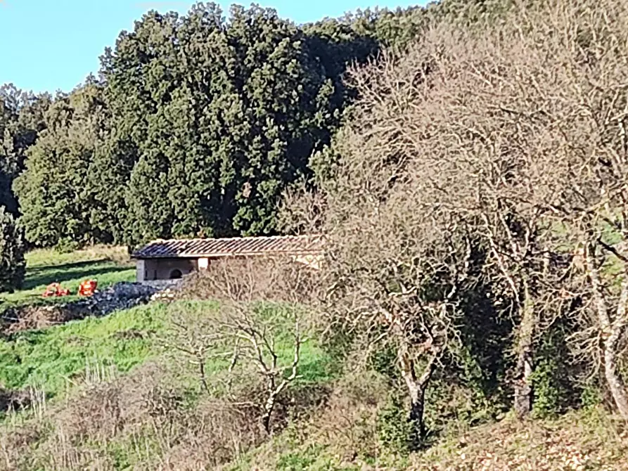 Immagine 11 di Casa colonica in vendita  a Casole D'elsa