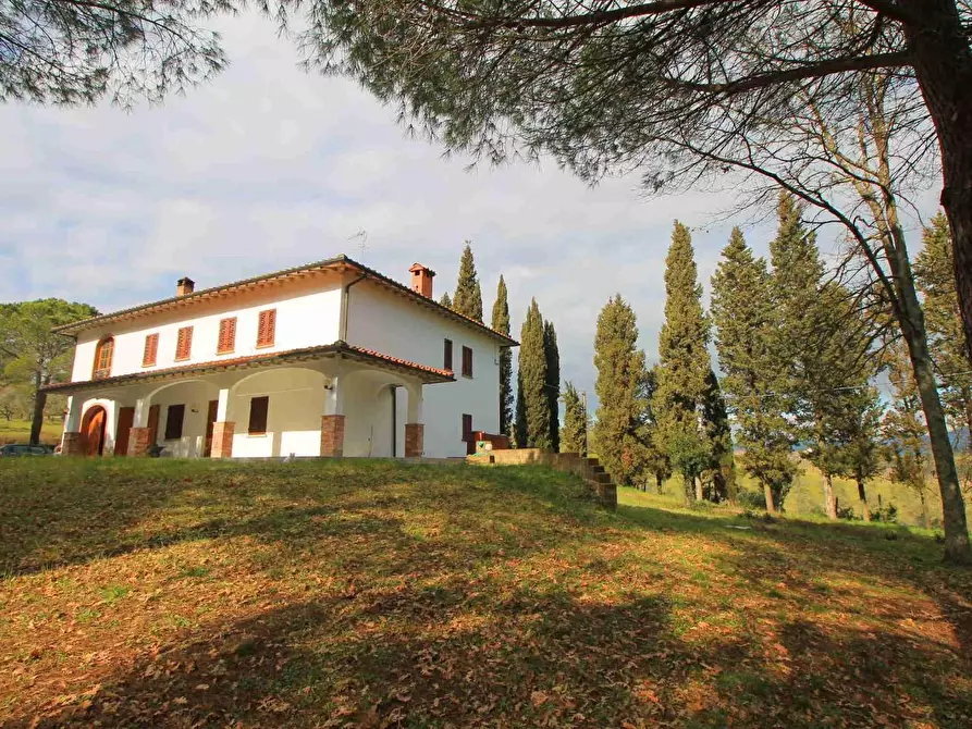 Immagine 6 di Casa colonica in vendita  a Vinci