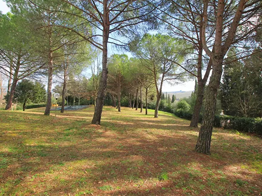 Immagine 11 di Casa colonica in vendita  a Vinci