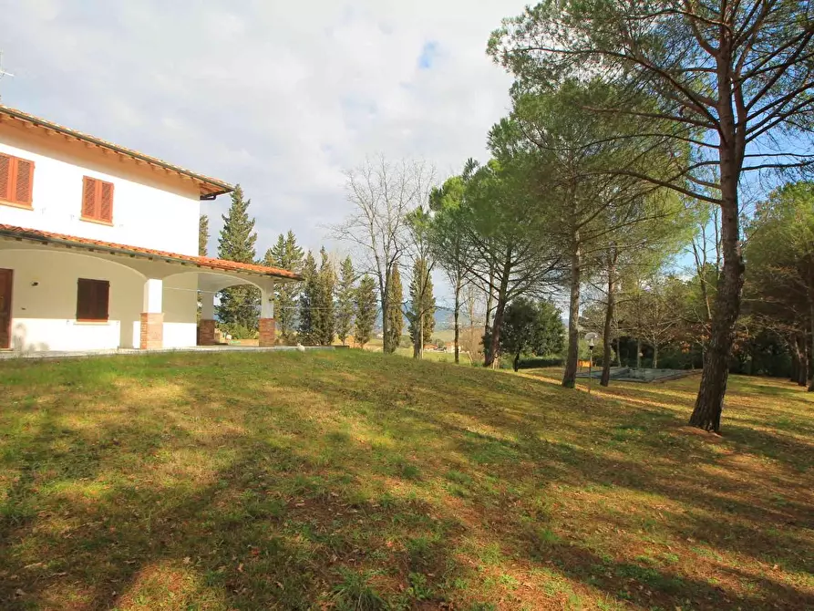 Immagine 10 di Casa colonica in vendita  a Vinci