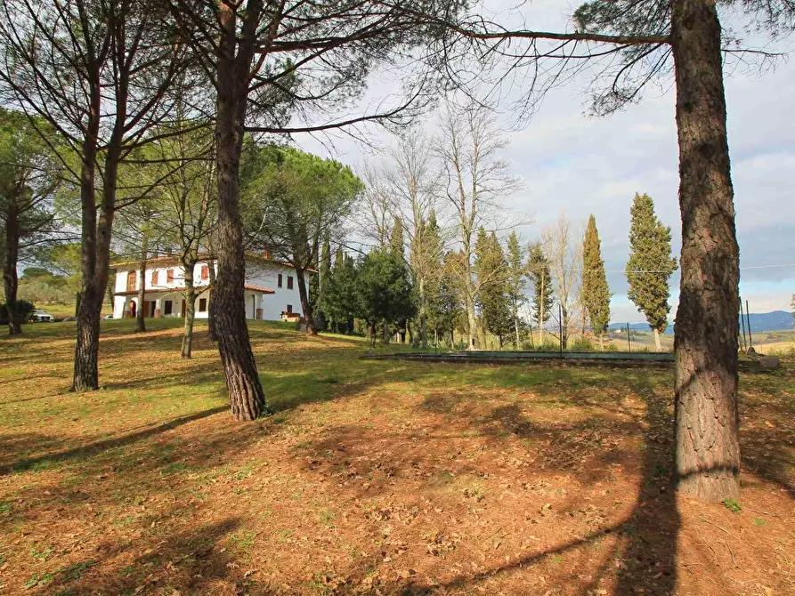 Immagine 5 di Casa colonica in vendita  a Vinci