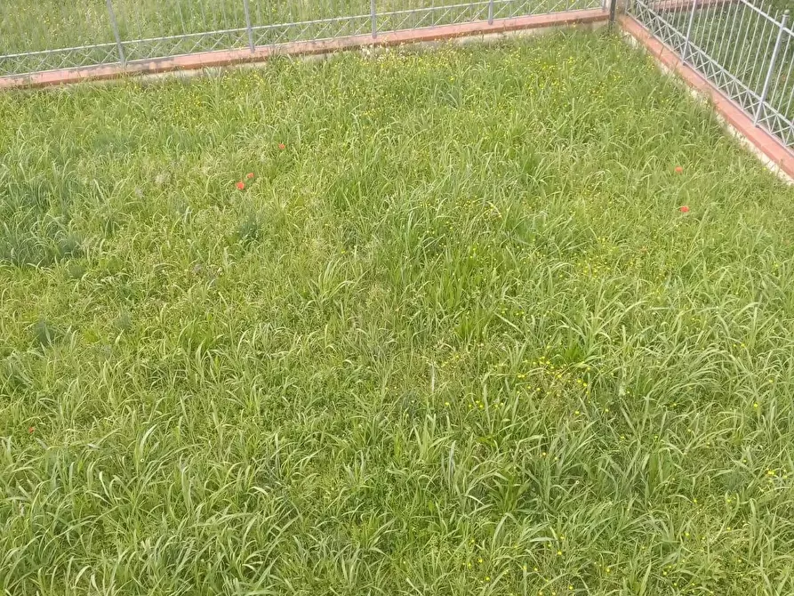 Immagine 25 di Villetta a schiera in vendita  a Carrara