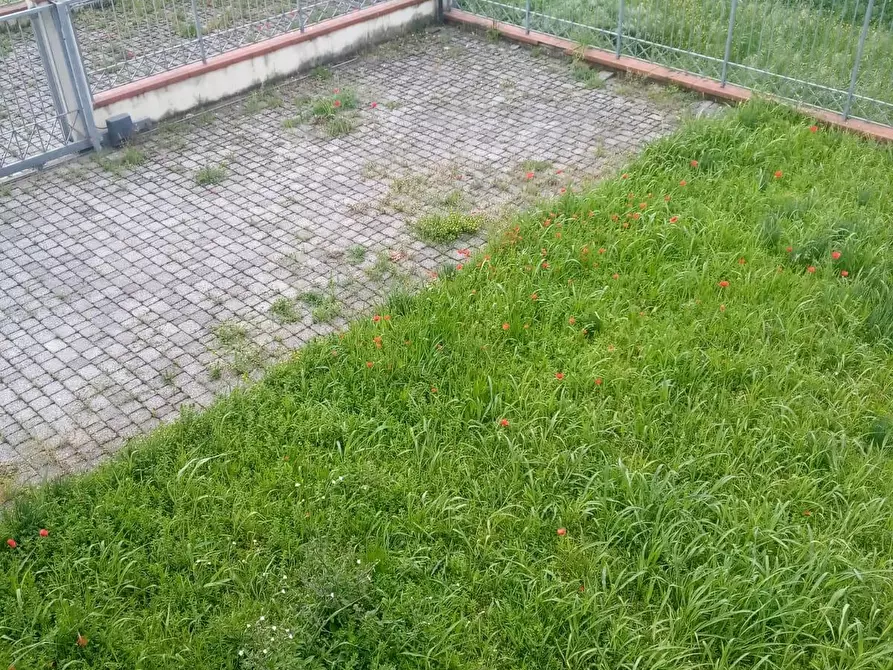 Immagine 9 di Villetta a schiera in vendita  a Carrara