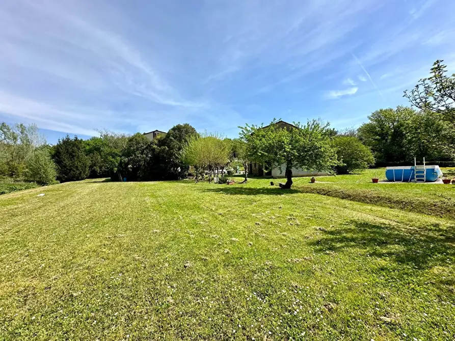 Immagine 31 di Rustico / casale in vendita  a Capannori