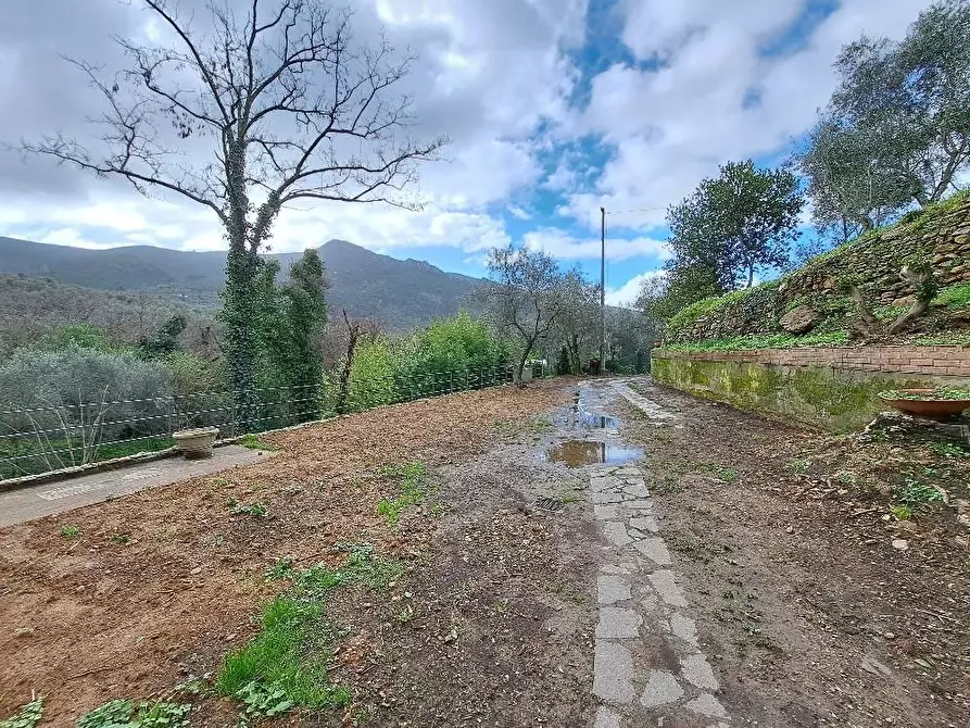 Immagine 17 di Villa in vendita  a Calci