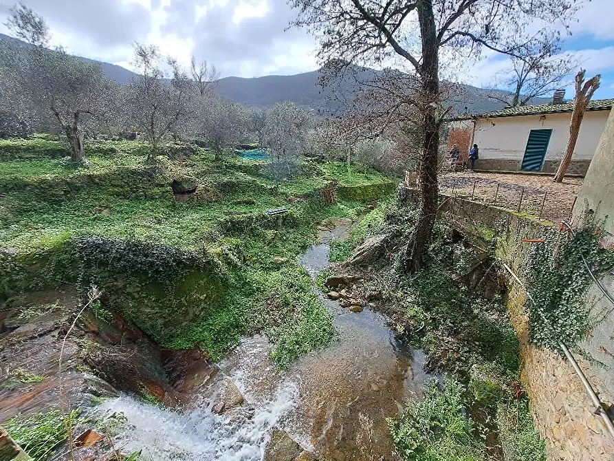 Immagine 31 di Villa in vendita  a Calci