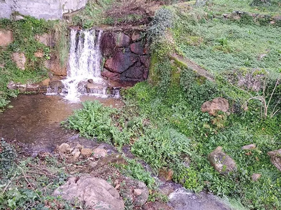 Immagine 18 di Villa in vendita  a Calci