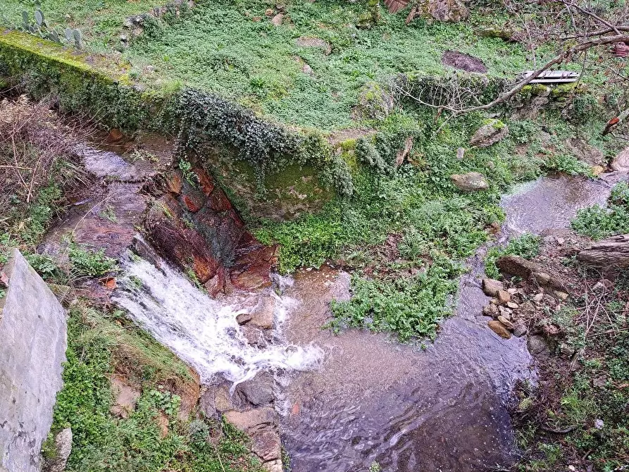 Immagine 24 di Villa in vendita  a Calci