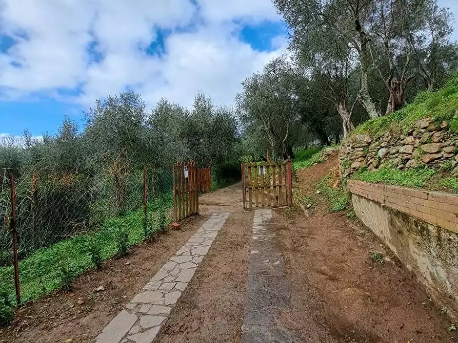 Immagine 19 di Villa in vendita  a Calci