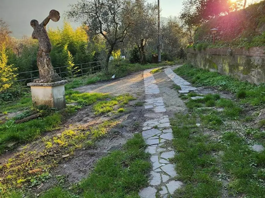 Immagine 4 di Villa in vendita  a Calci