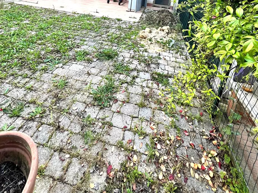 Immagine 30 di Appartamento in vendita  a Montelupo Fiorentino