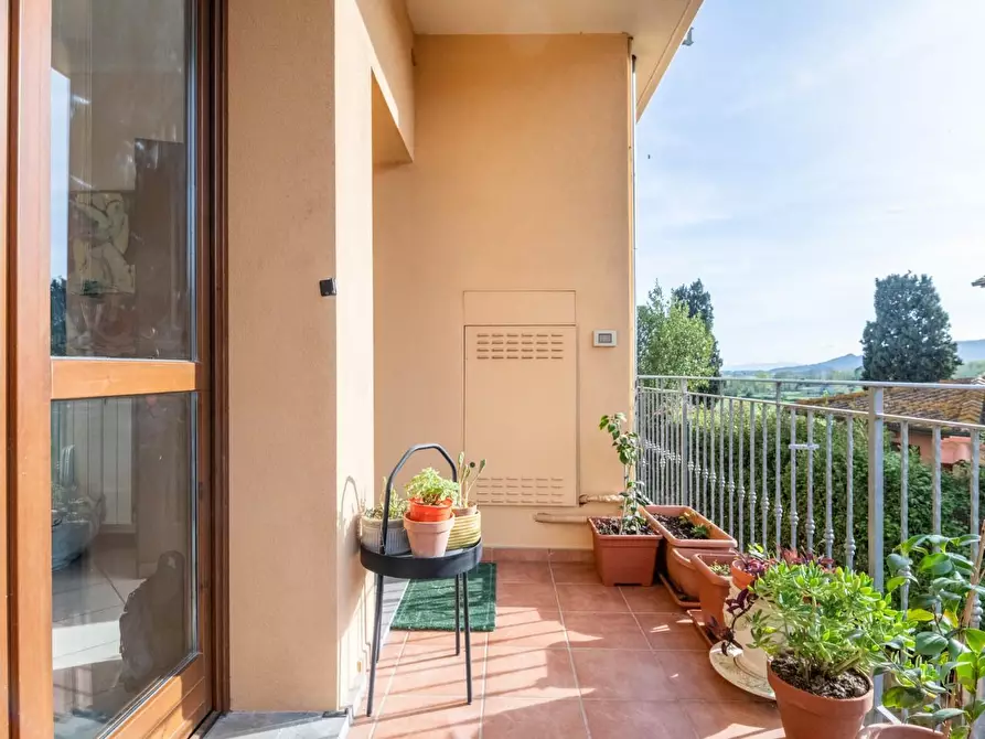 Immagine 18 di Appartamento in vendita  a Buti