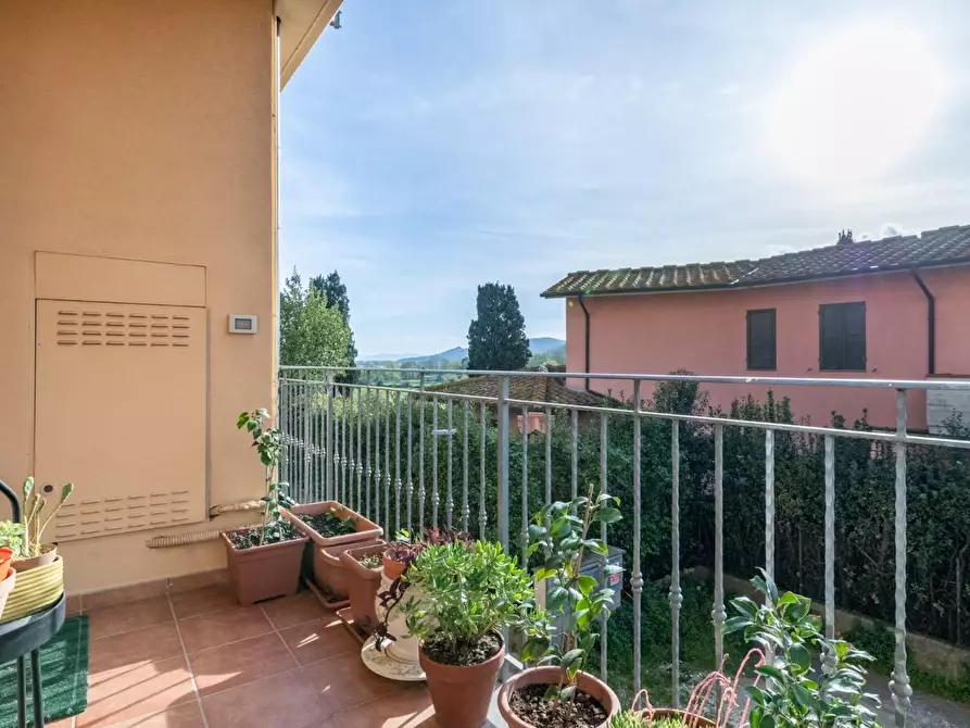 Immagine 19 di Appartamento in vendita  a Buti