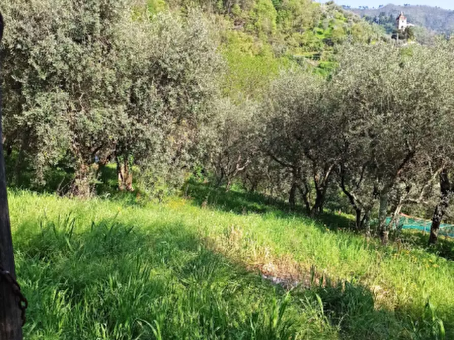 Immagine 36 di Casa semindipendente in vendita  a Lucca