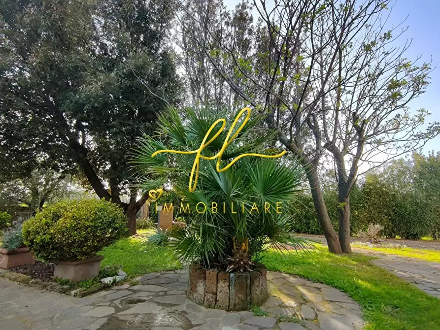 Immagine 50 di Villa in vendita  a Piombino