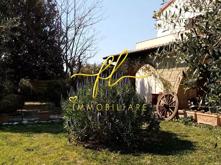 Immagine 3 di Villa in vendita  a Piombino