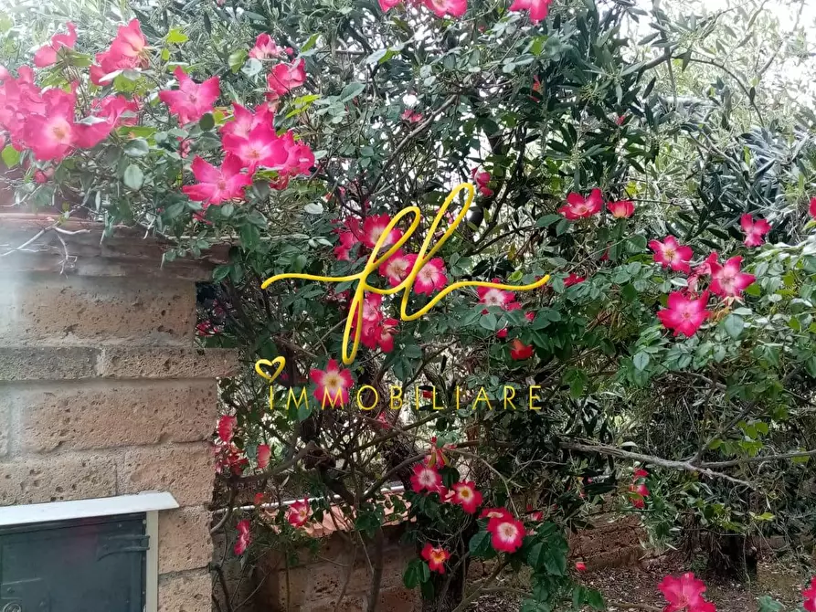 Immagine 46 di Villa in vendita  a Piombino