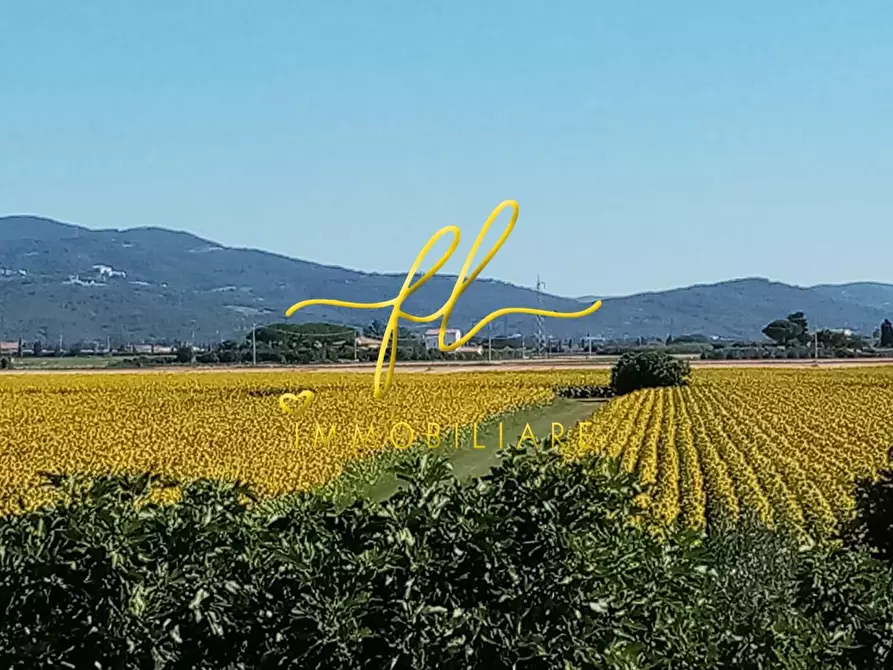 Immagine 49 di Villa in vendita  a Piombino