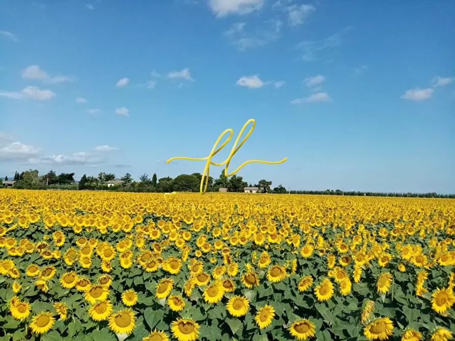 Immagine 48 di Villa in vendita  a Piombino