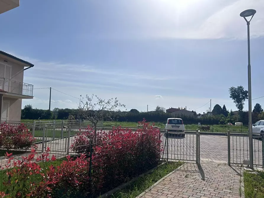 Immagine 22 di Terratetto in vendita  a Casciana Terme Lari