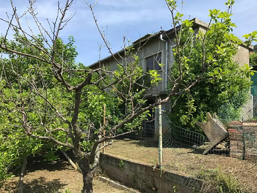 Immagine 3 di Casa indipendente in vendita  a Pietrasanta