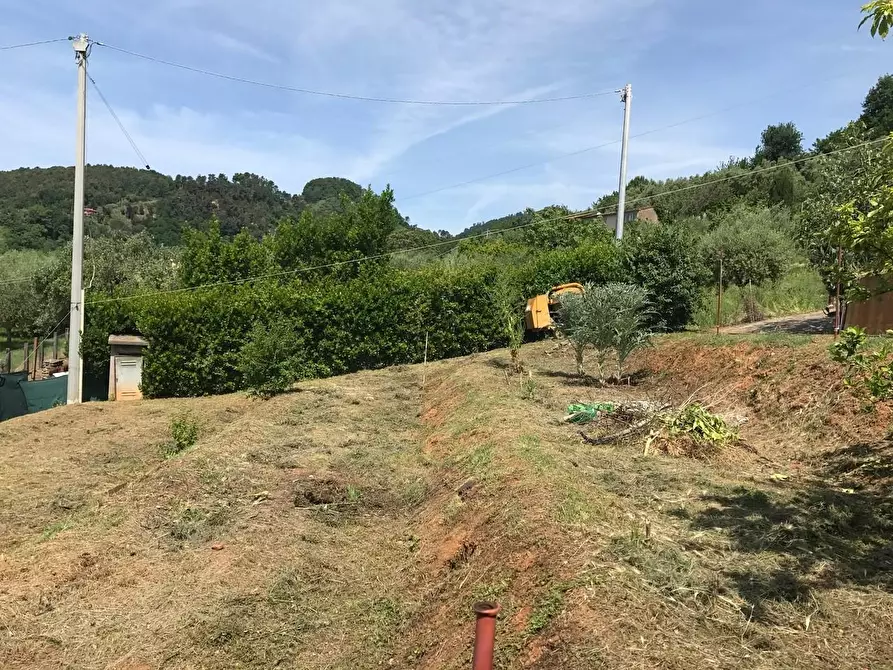 Immagine 11 di Casa indipendente in vendita  a Pietrasanta