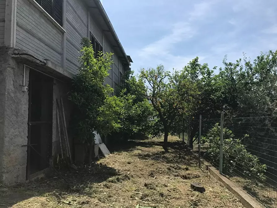 Immagine 10 di Casa indipendente in vendita  a Pietrasanta