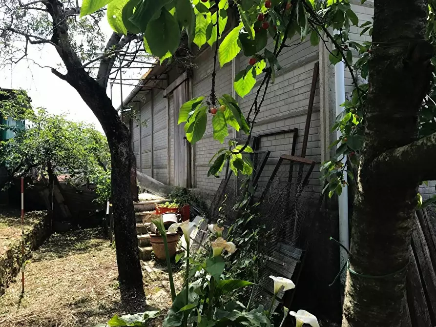 Immagine 12 di Casa indipendente in vendita  a Pietrasanta