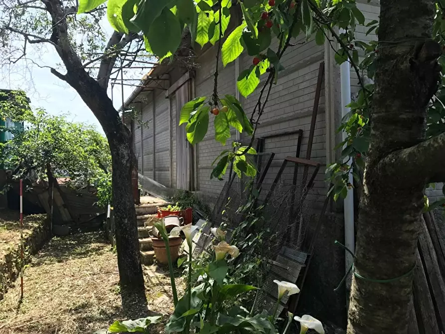 Immagine 13 di Casa indipendente in vendita  a Pietrasanta