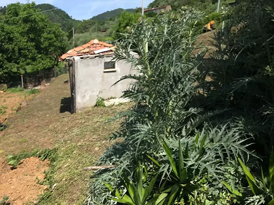 Immagine 8 di Casa indipendente in vendita  a Pietrasanta