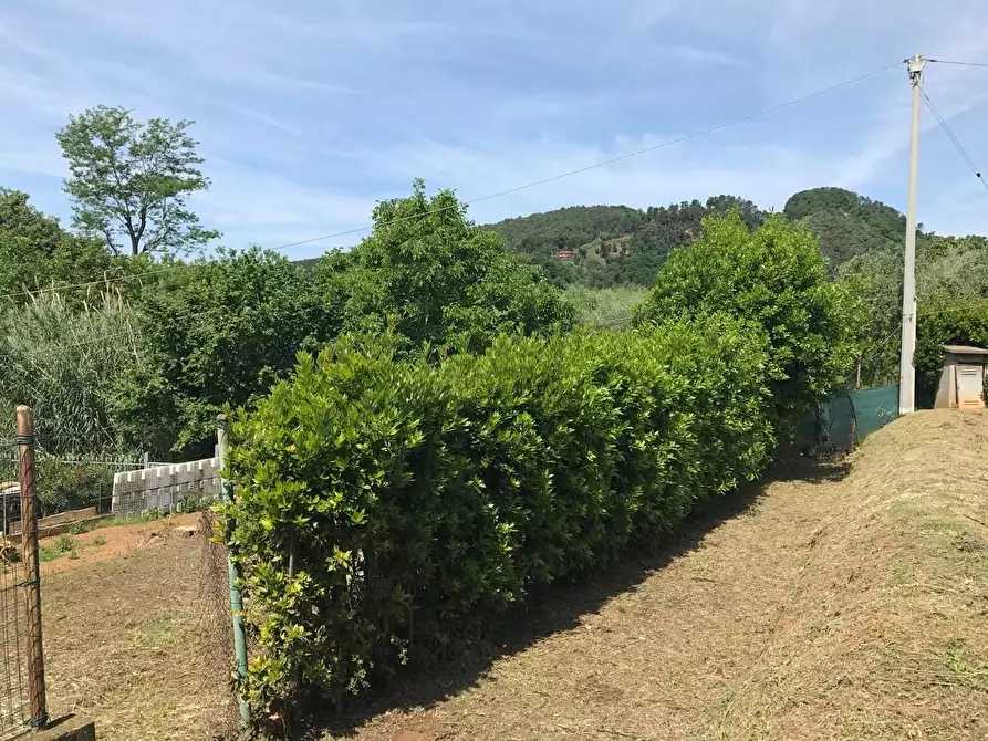 Immagine 15 di Casa indipendente in vendita  a Pietrasanta
