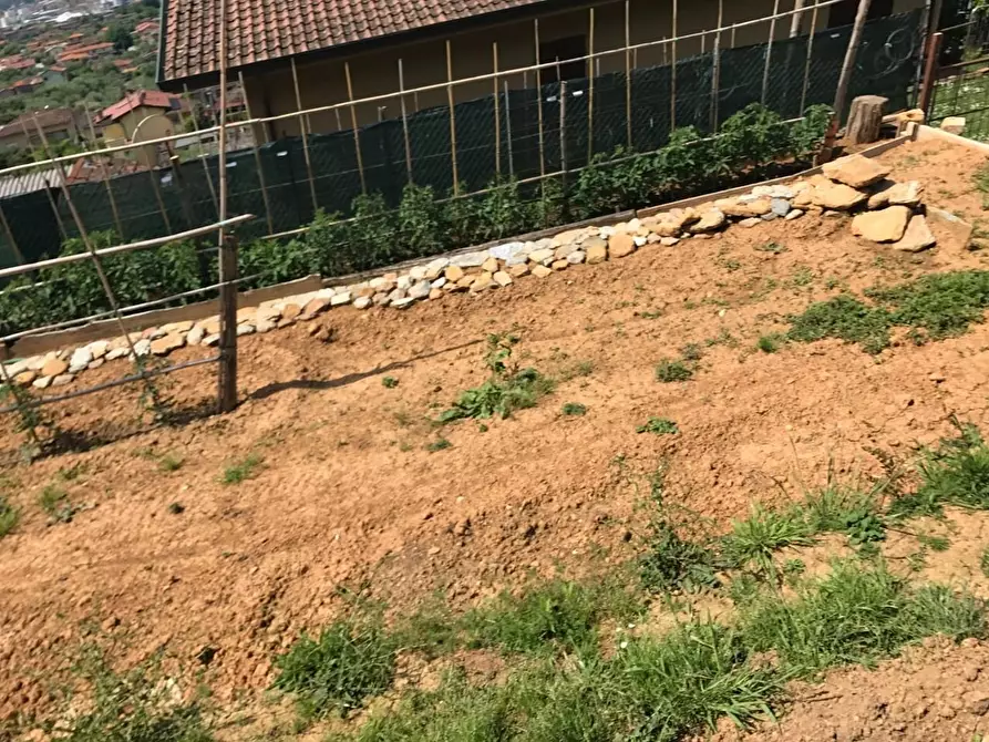 Immagine 7 di Casa indipendente in vendita  a Pietrasanta