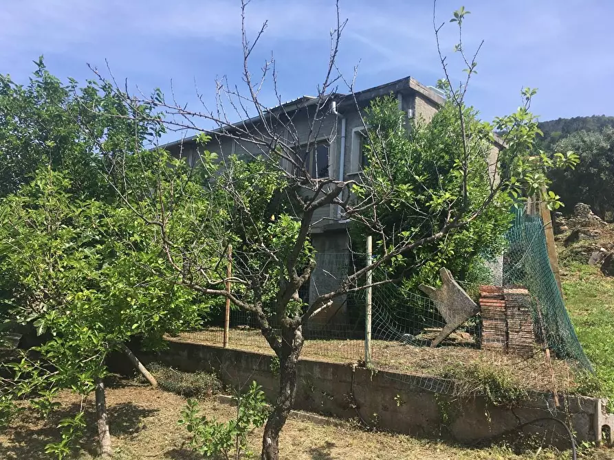 Immagine 19 di Casa indipendente in vendita  a Pietrasanta