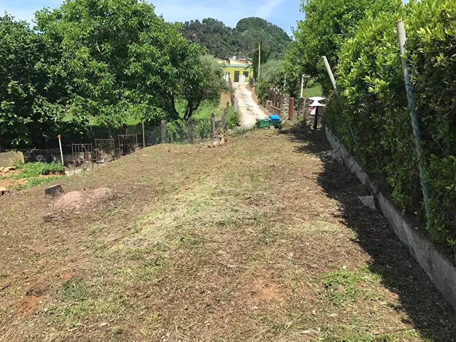 Immagine 9 di Casa indipendente in vendita  a Pietrasanta