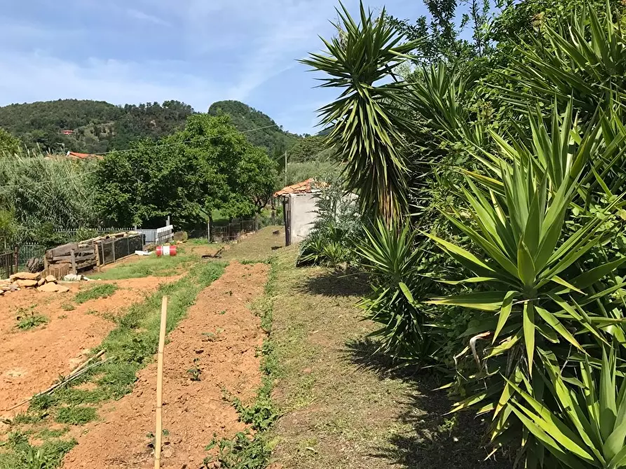 Immagine 6 di Casa indipendente in vendita  a Pietrasanta