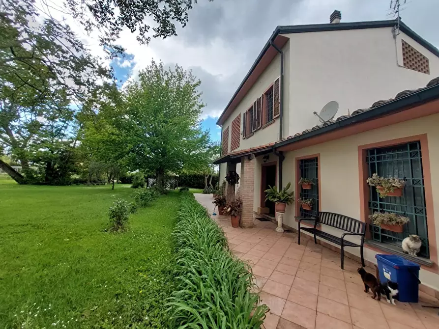 Immagine 2 di Casa colonica in vendita  a Pontedera