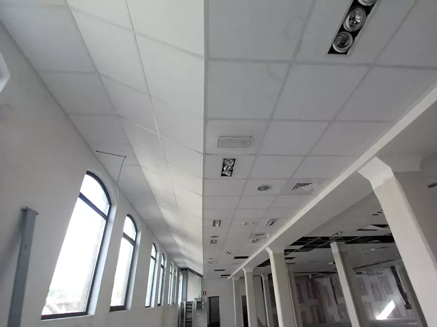 Immagine 5 di Locale commerciale in affitto  a Livorno